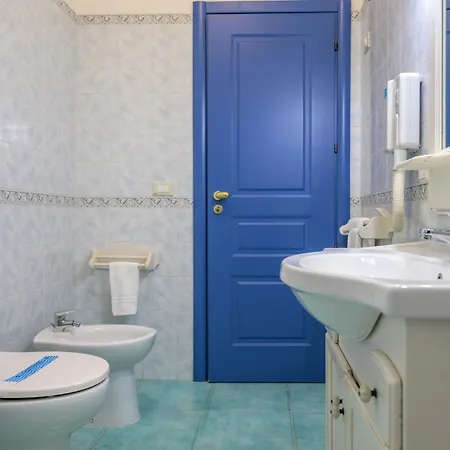 波罗那奥缇科中央会议酒店 酒店 萨莱诺