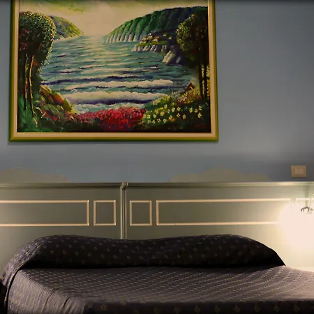 波罗那奥缇科中央会议酒店 酒店