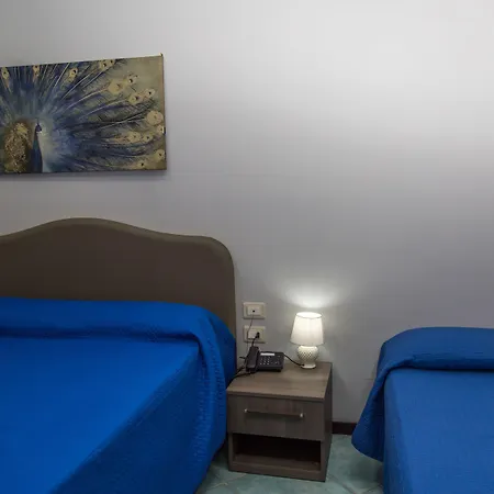 波罗那奥缇科中央会议酒店 酒店 萨莱诺