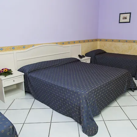 酒店 波罗那奥缇科中央会议酒店 4*