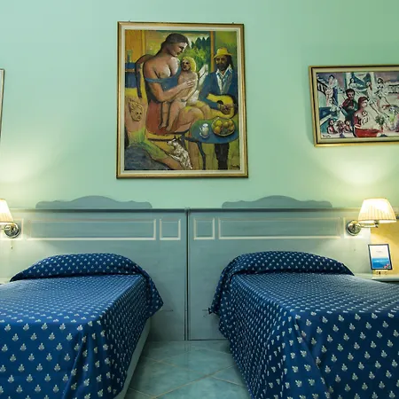 酒店 波罗那奥缇科中央会议酒店 4*