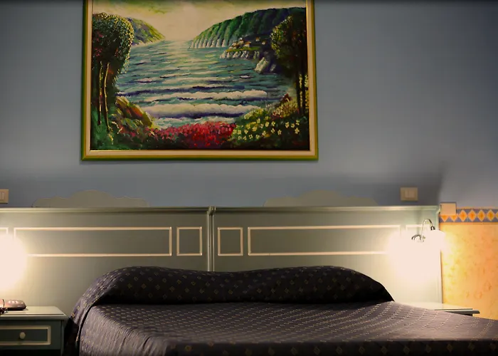 波罗那奥缇科中央会议酒店 酒店