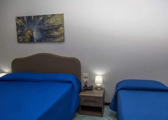 波罗那奥缇科中央会议酒店 酒店 萨莱诺