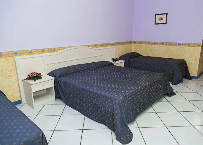 酒店 波罗那奥缇科中央会议酒店 4*