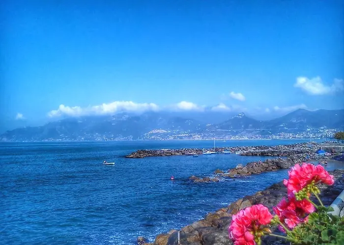 波罗那奥缇科中央会议酒店 酒店 萨莱诺